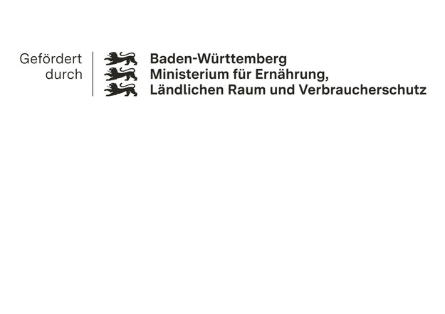 Gefrdert durch